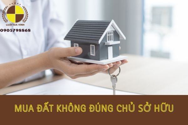 Bị lừa mua đất không đúng chủ sở hữu thì giải quyết như thế nào?