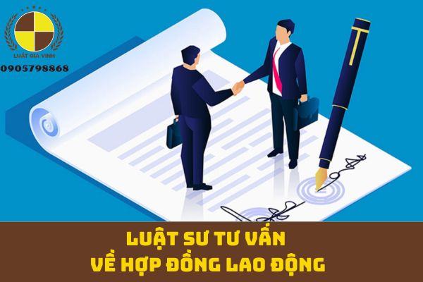 Luật sư tư vấn về hợp đồng lao động