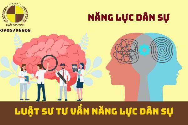 Luật sư tư vấn năng lực dân sự